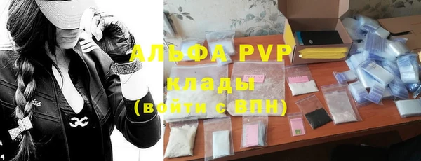 стафф Осинники