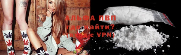 стафф Осинники